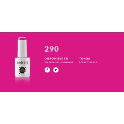 Esmalte Gel Andreia 4 Semanas Nº 290
