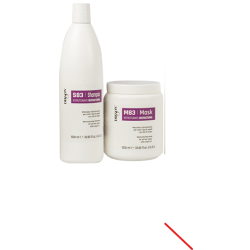 Champu 1000ml + Mascarilla Dikson 1000ml Todo Tipo De Cabello