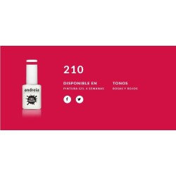 Esmalte Gel Andreia 4 Semanas Nº 210