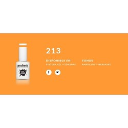 Esmalte Gel Andreia 4...